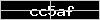 Captcha value